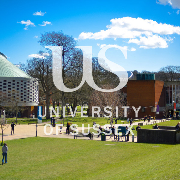 University of Sussex Campus