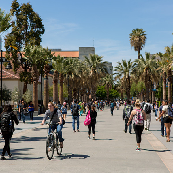 Læs på San José State University (SJSU)
