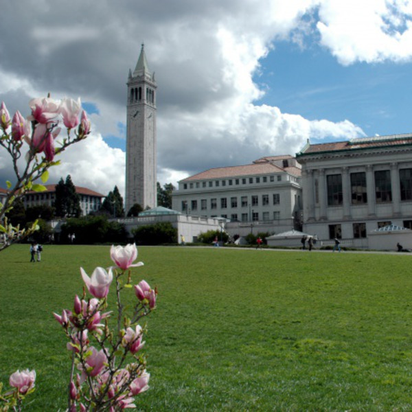 Læs på University of California Berkeley, USA