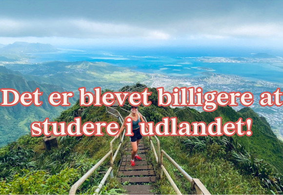 valutakurser i udlandet har gjort udveksling billigere