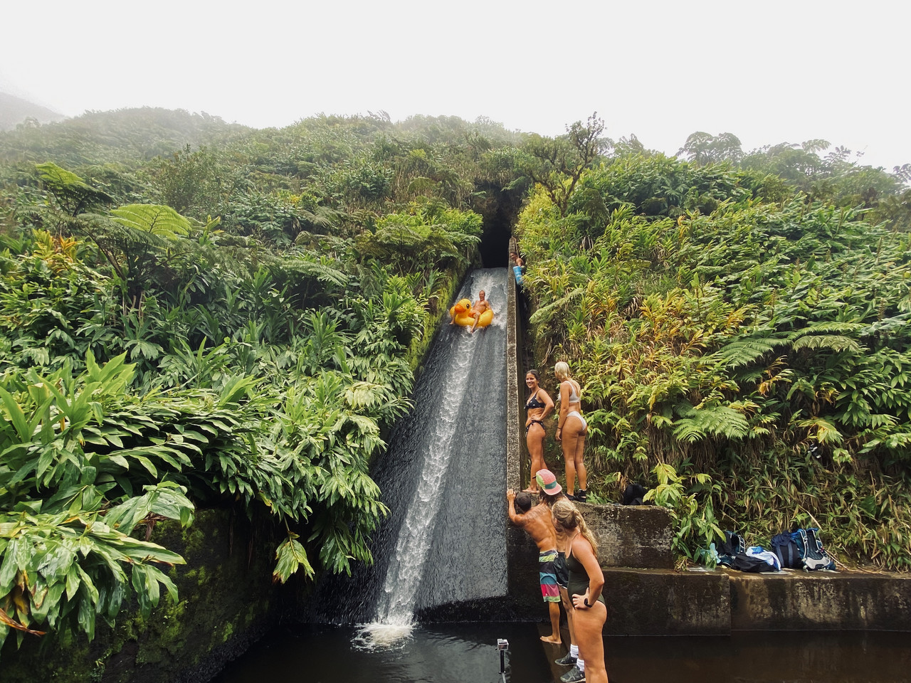 naturligvis vandrutsjebane i hawaii's regnskov