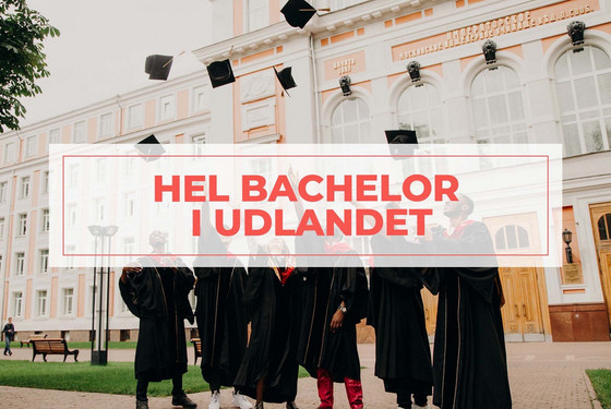 Studer en hel bachelor i udlandet