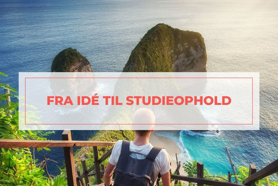 Fra ide til studieophold igennem EDU