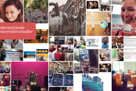 EDU på Instagram - følg med i studerendes oplevelser rundt i verden